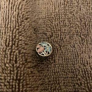 Pandora charm